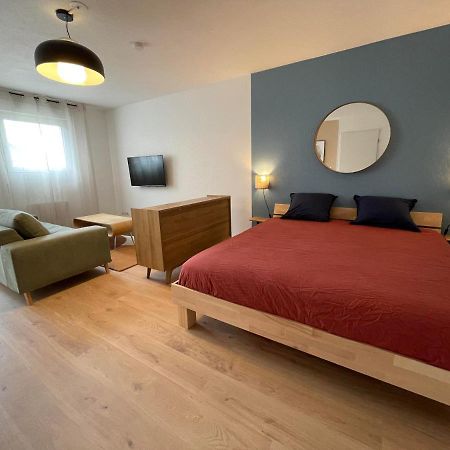 Grand Studio Joli Coeur - Calme Cosy Lumineux + Parking Διαμέρισμα Νανσύ Εξωτερικό φωτογραφία