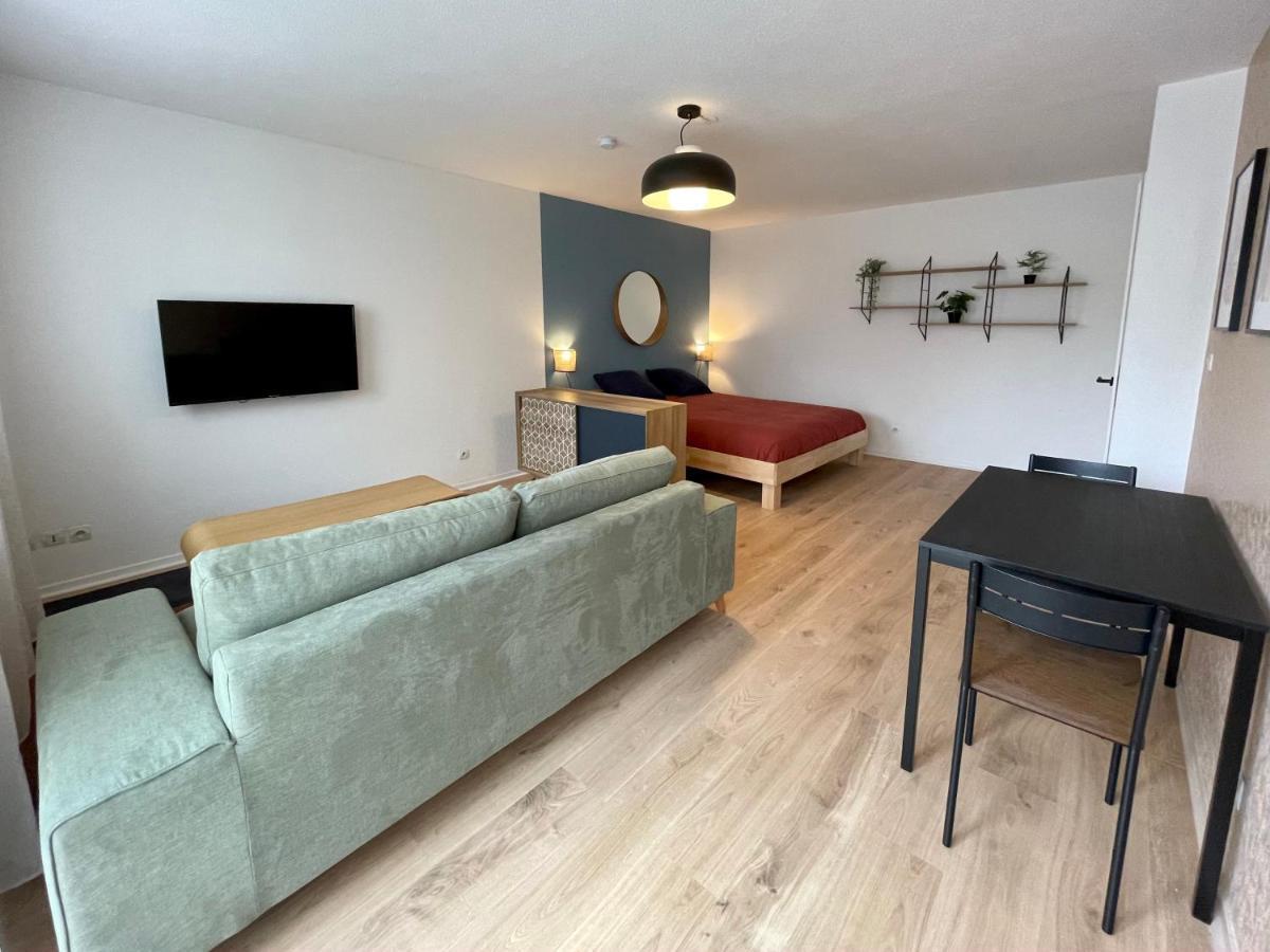 Grand Studio Joli Coeur - Calme Cosy Lumineux + Parking Διαμέρισμα Νανσύ Εξωτερικό φωτογραφία