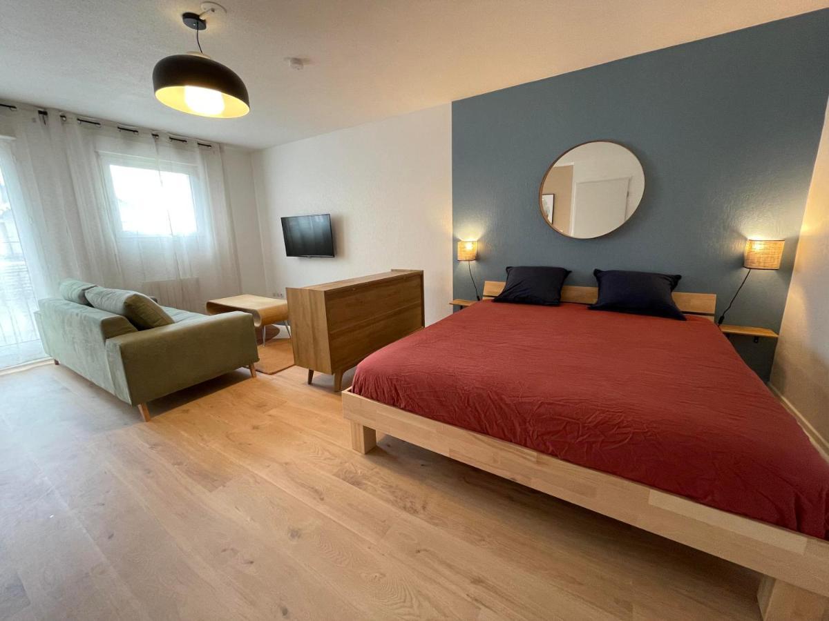 Grand Studio Joli Coeur - Calme Cosy Lumineux + Parking Διαμέρισμα Νανσύ Εξωτερικό φωτογραφία