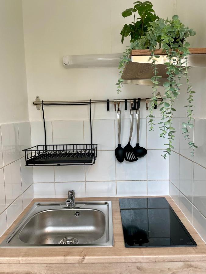 Grand Studio Joli Coeur - Calme Cosy Lumineux + Parking Διαμέρισμα Νανσύ Εξωτερικό φωτογραφία